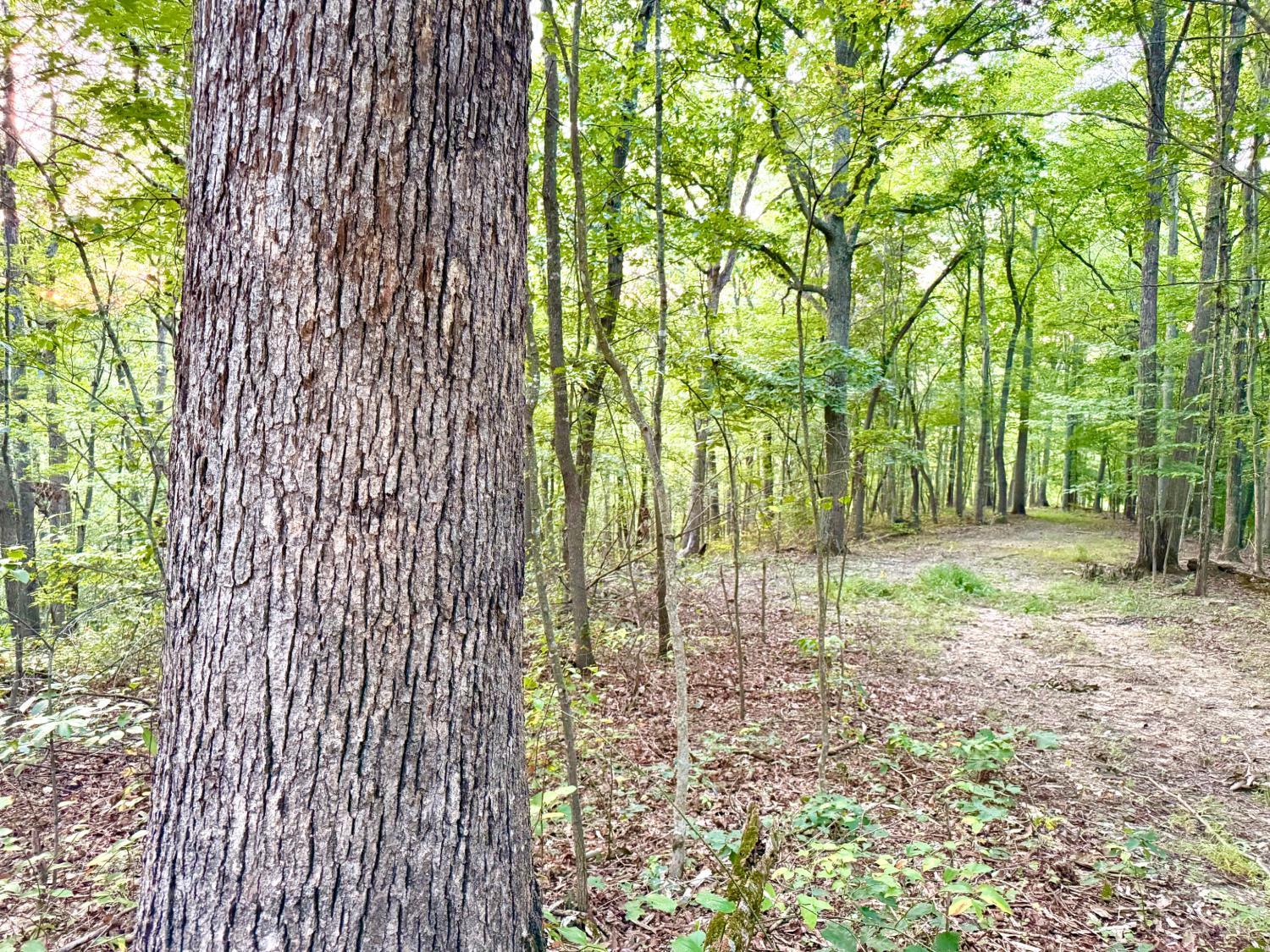 Greenbriar Road, Harrison Twp, OH, 45662 — photo 5
