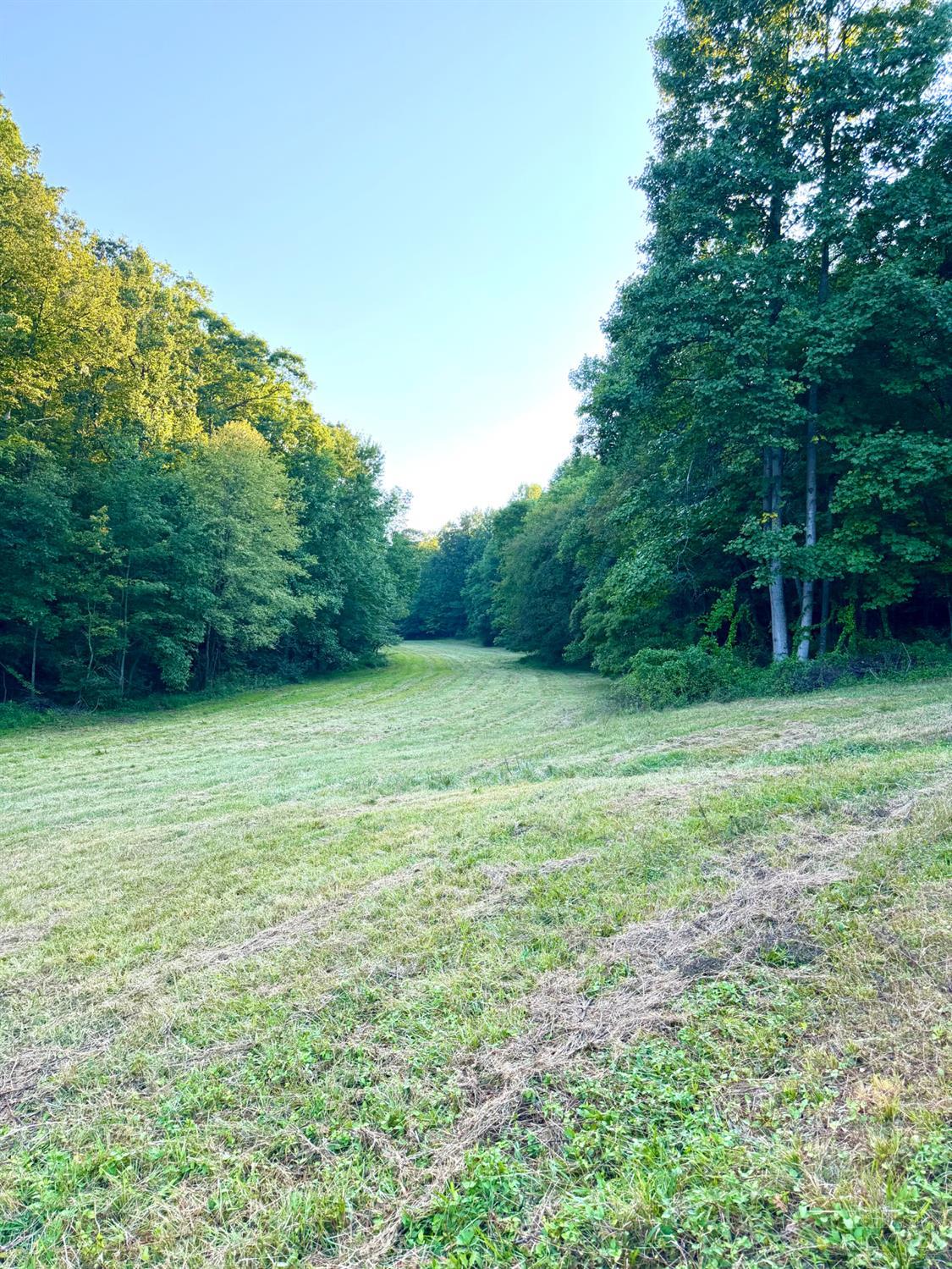 Greenbriar Road, Harrison Twp, OH, 45662 — photo 44