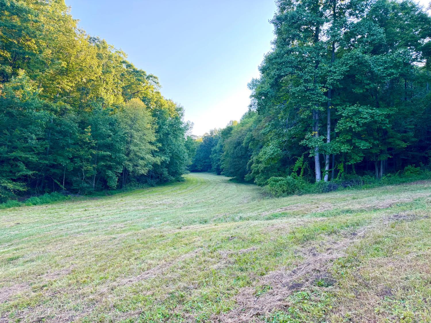 Greenbriar Road, Harrison Twp, OH, 45662 — photo 76
