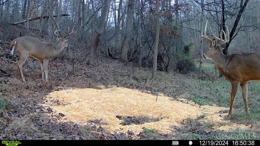 Greenbriar Road, Harrison Twp, OH, 45662 — photo 23