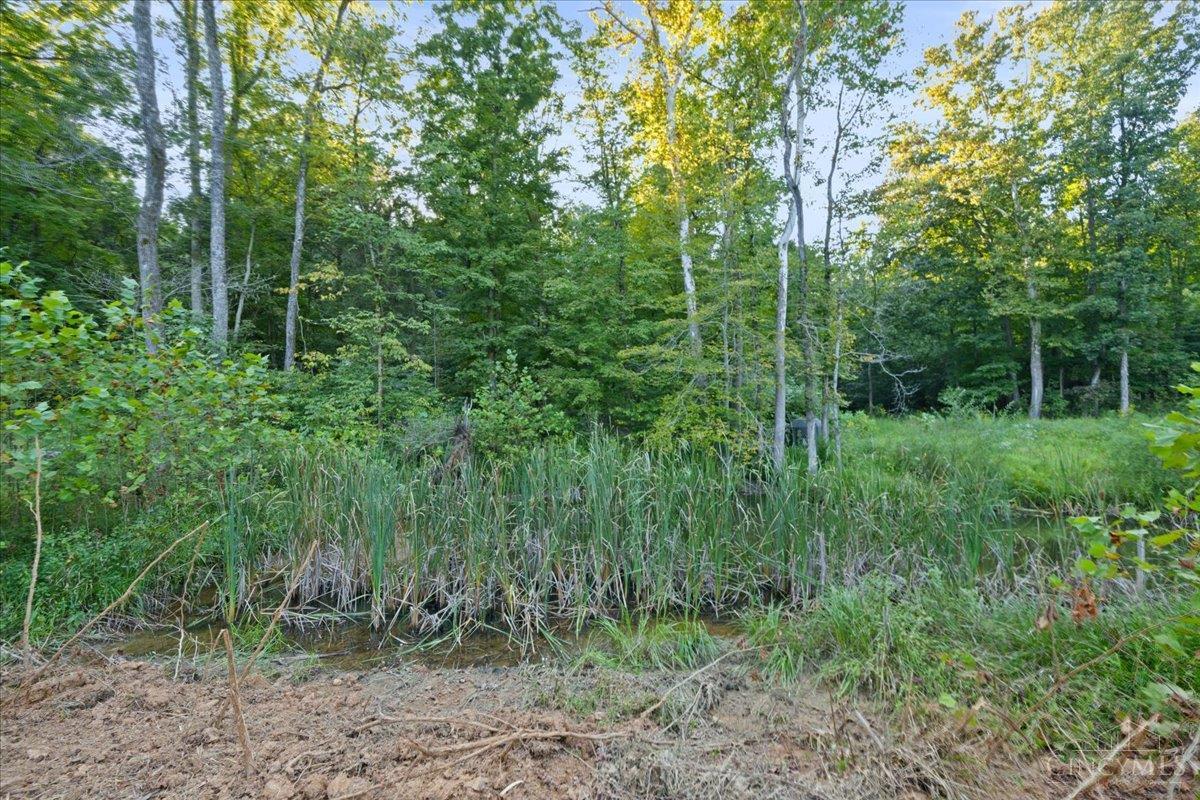 acres Waggoner Riffle Road, West Union, OH, 45693 — photo 7