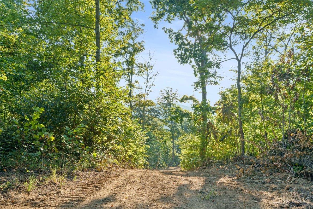 acres Waggoner Riffle Road, West Union, OH, 45693 — photo 18
