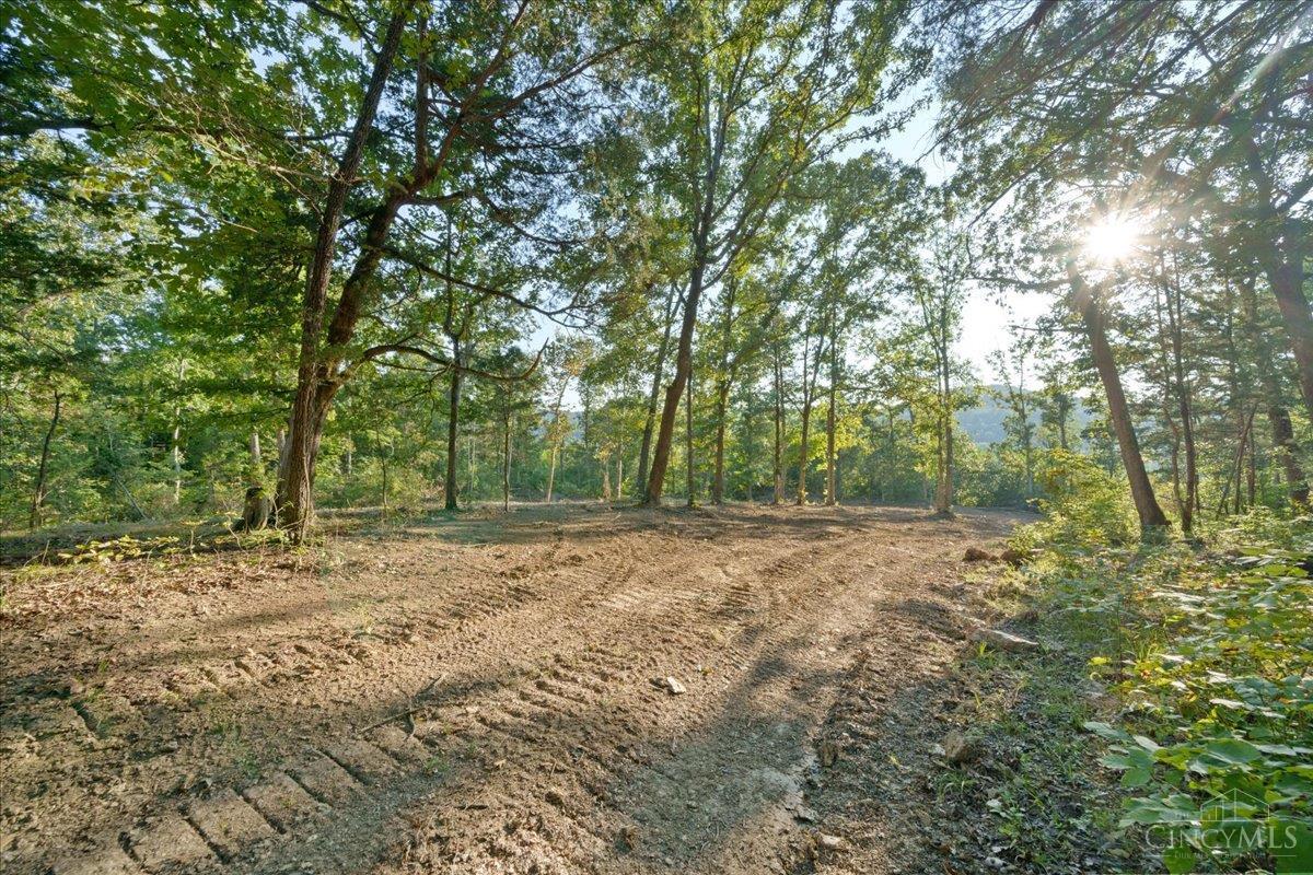 acres Waggoner Riffle Road, West Union, OH, 45693 — photo 12