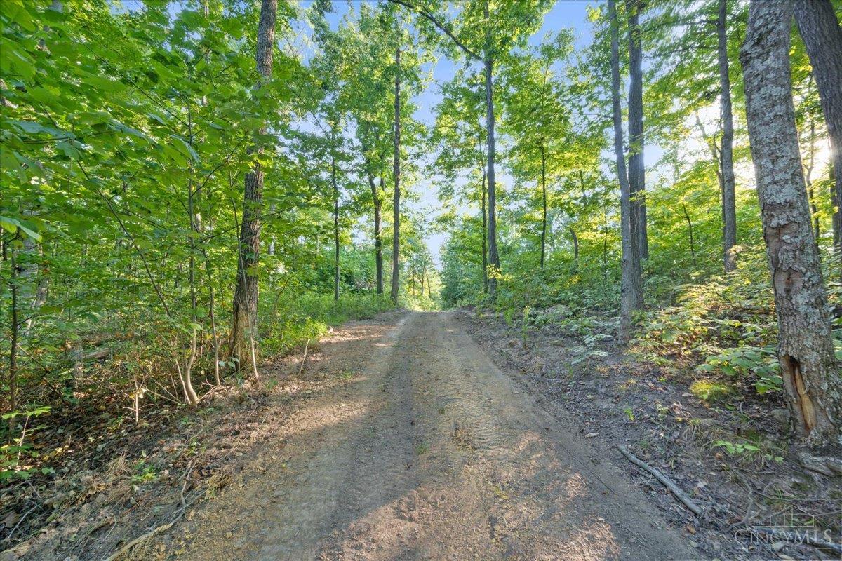 acres Waggoner Riffle Road, West Union, OH, 45693 — photo 3