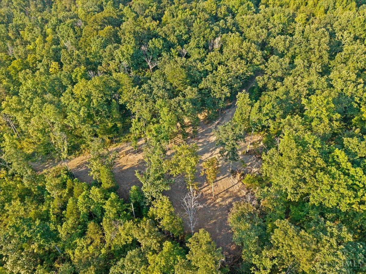 acres Waggoner Riffle Road, West Union, OH, 45693 — photo 24