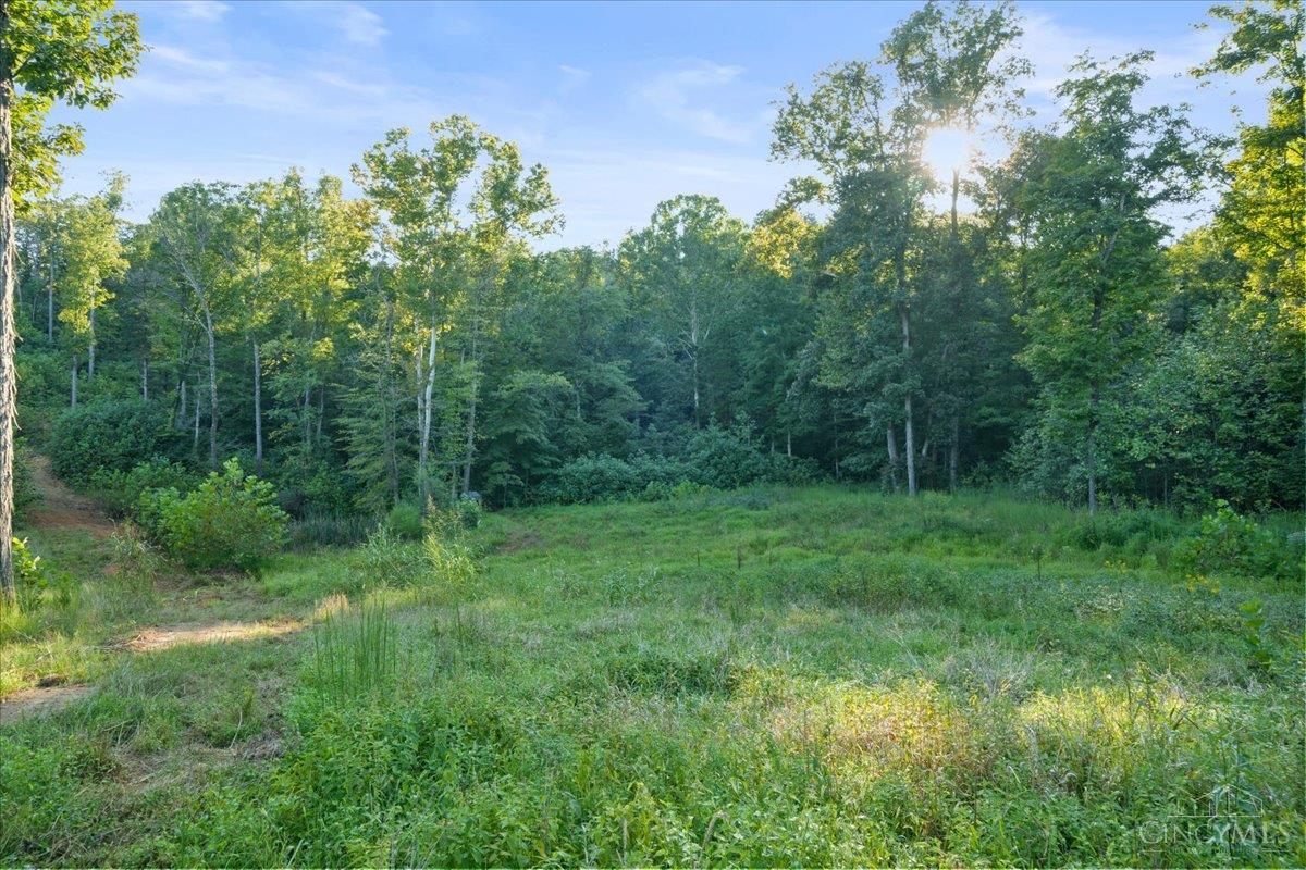 acres Waggoner Riffle Road, West Union, OH, 45693 — photo 6