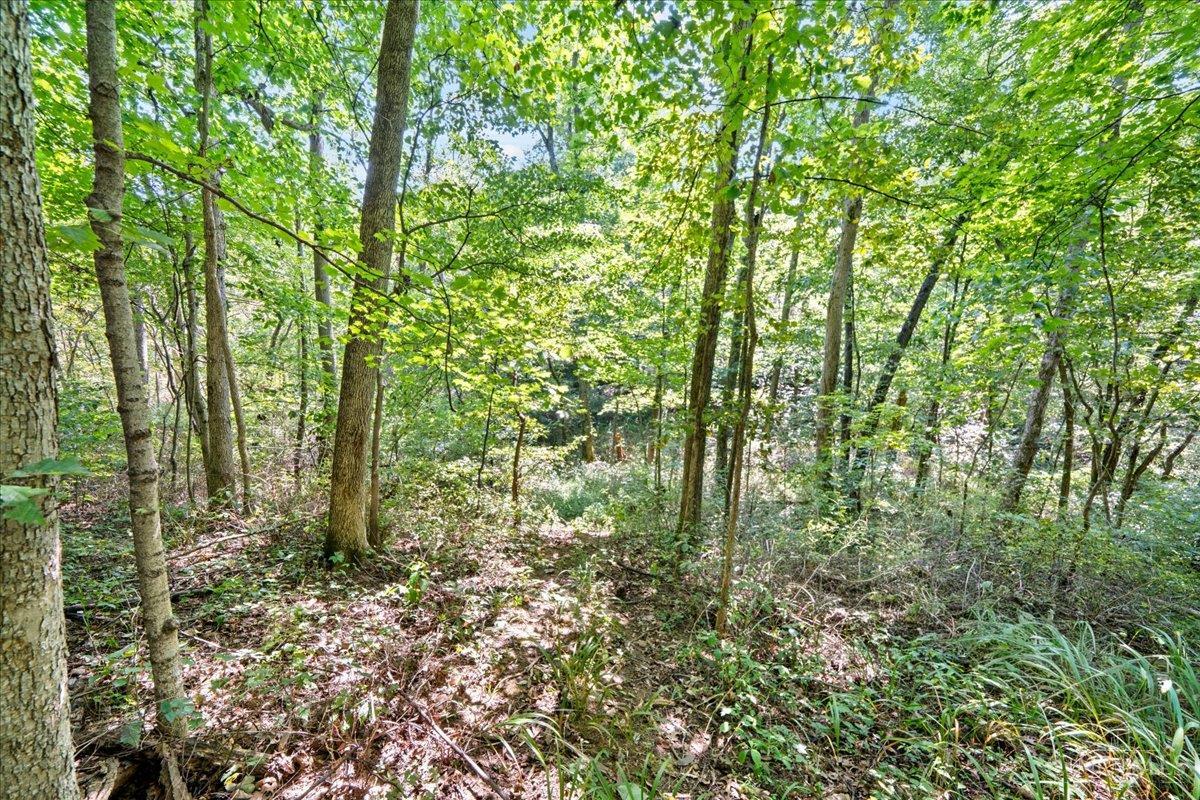 1061 Richardson Road, Concord Twp, OH, 45679 — photo 23