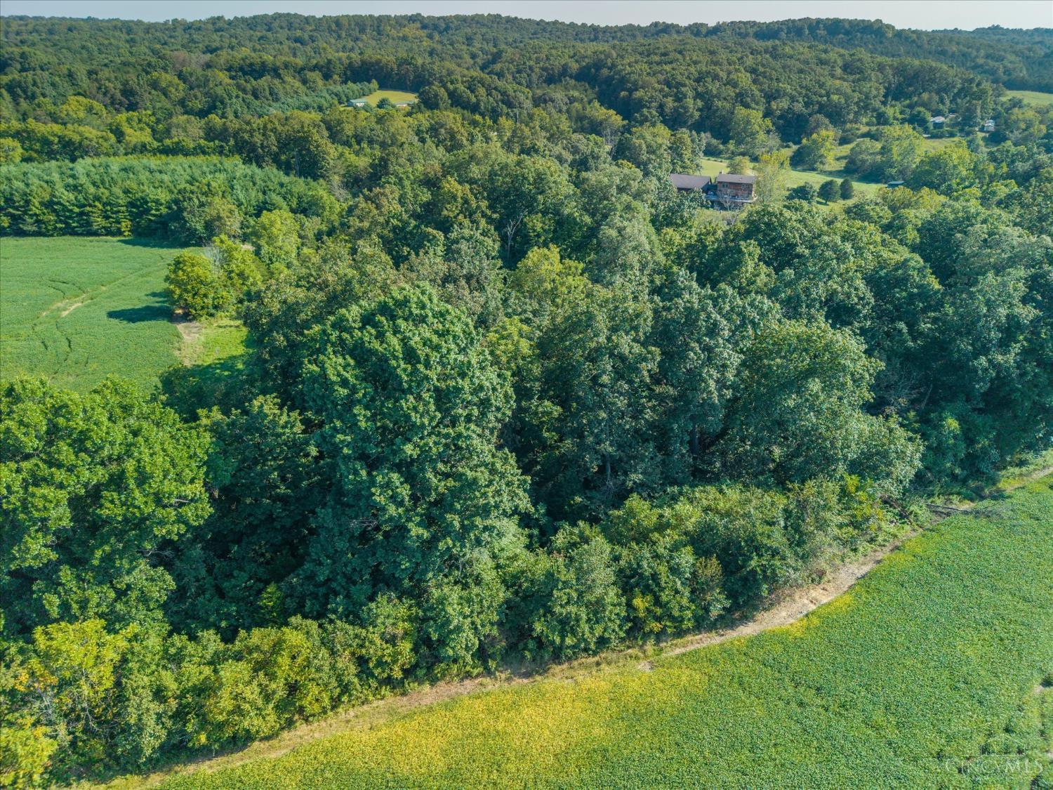 Robin Road, Seaman, OH, 45679 — photo 11