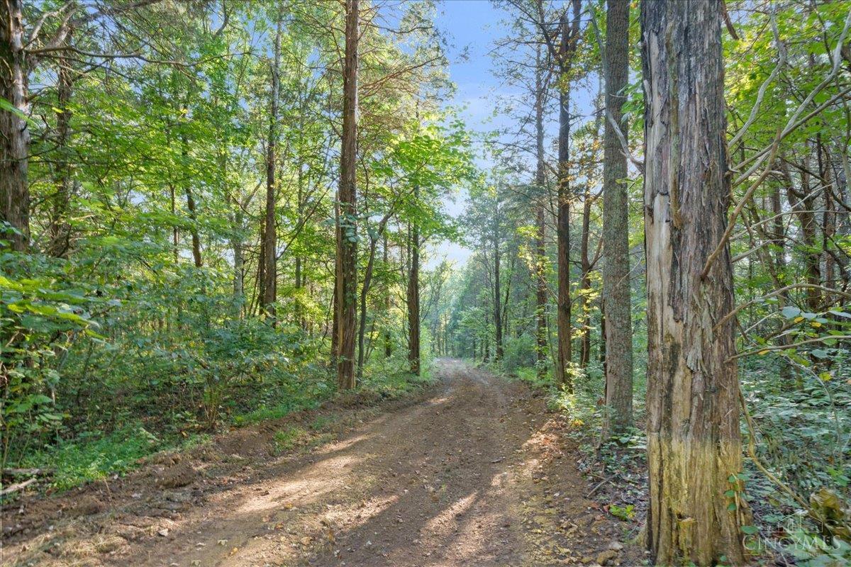 acres Waggoner Riffle Road, West Union, OH, 45693 — photo 11