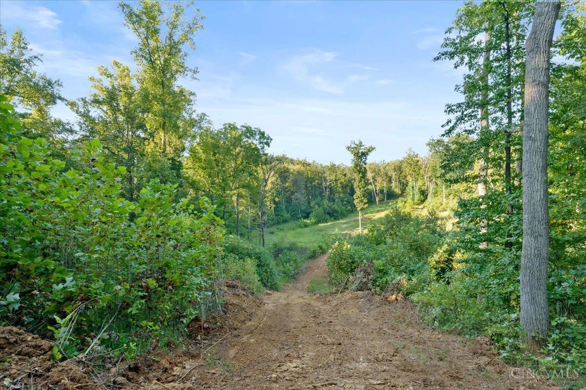 acres Waggoner Riffle Road, West Union, OH, 45693 — photo 5