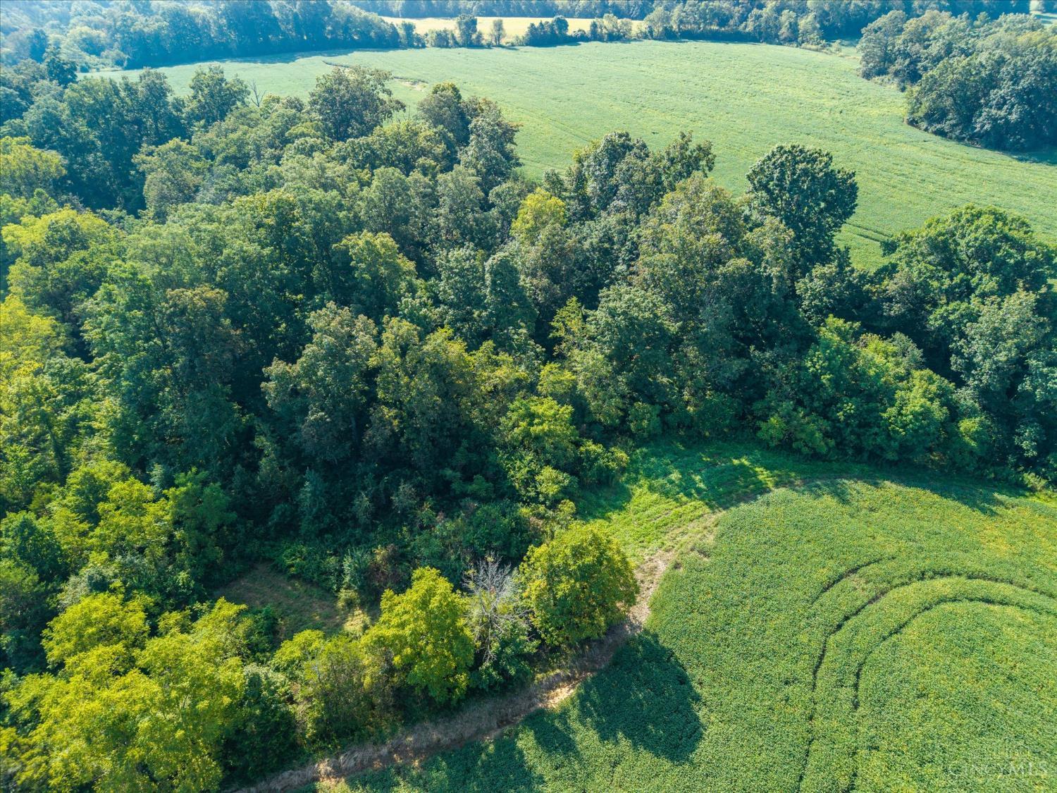 Robin Road, Seaman, OH, 45679 — photo 8