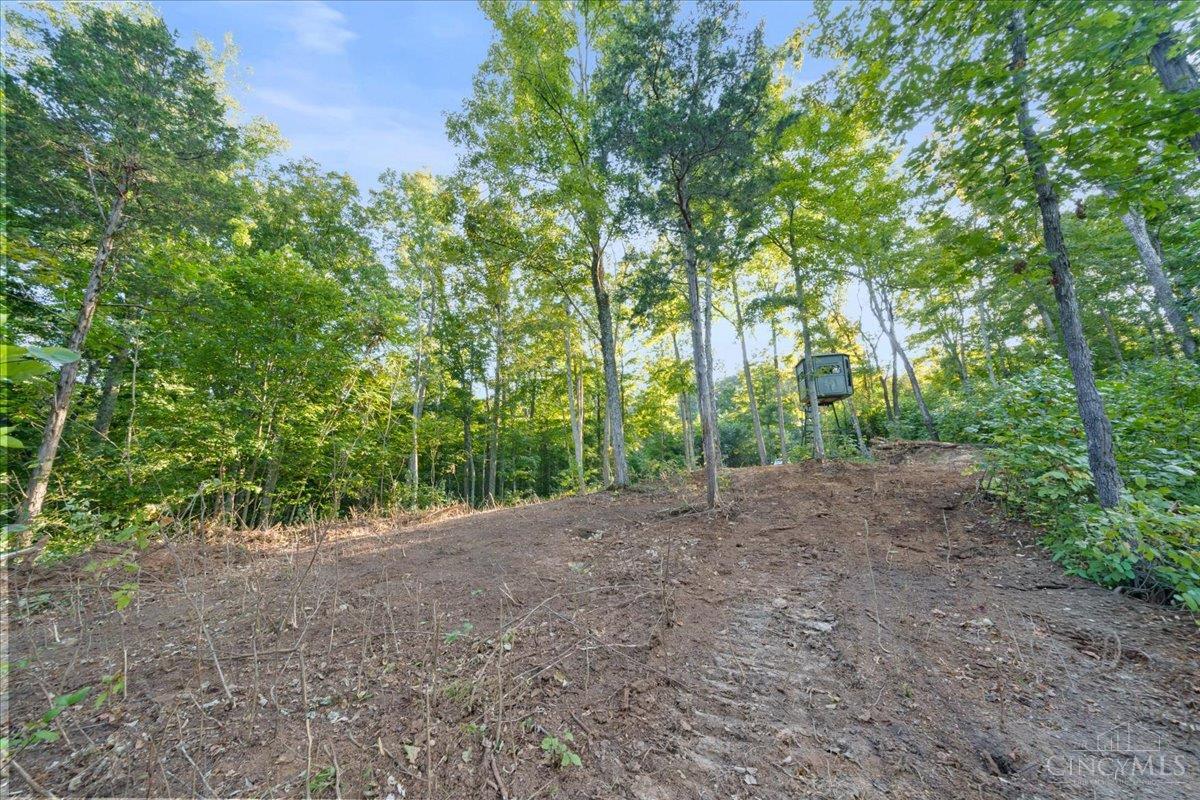 acres Waggoner Riffle Road, West Union, OH, 45693 — photo 15