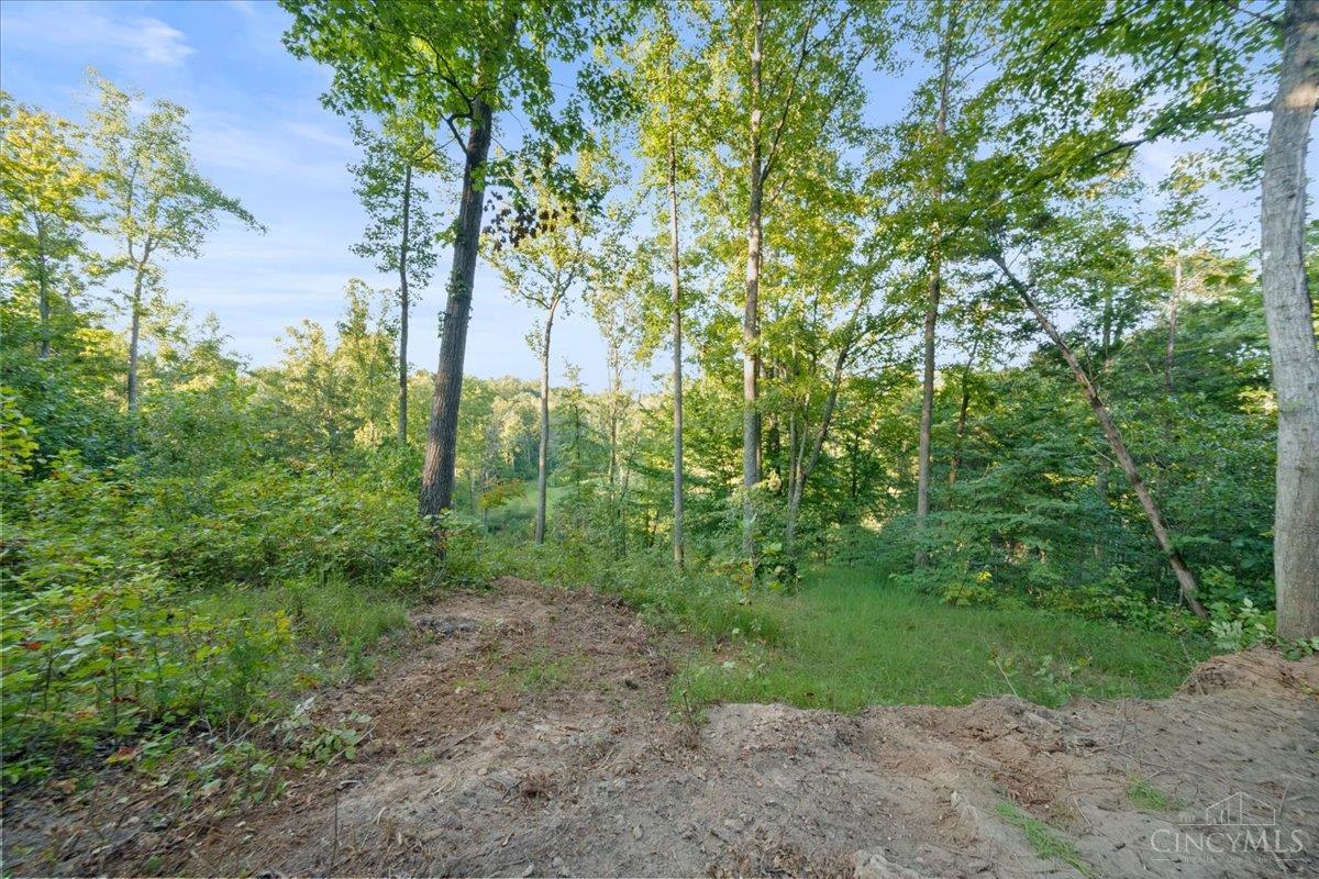 acres Waggoner Riffle Road, West Union, OH, 45693 — photo 14