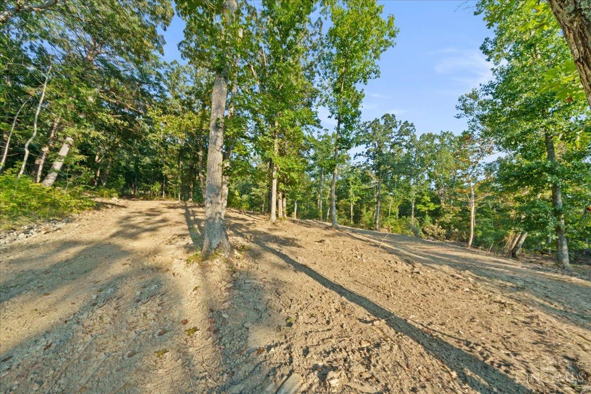 acres Waggoner Riffle Road, West Union, OH, 45693 — photo 20