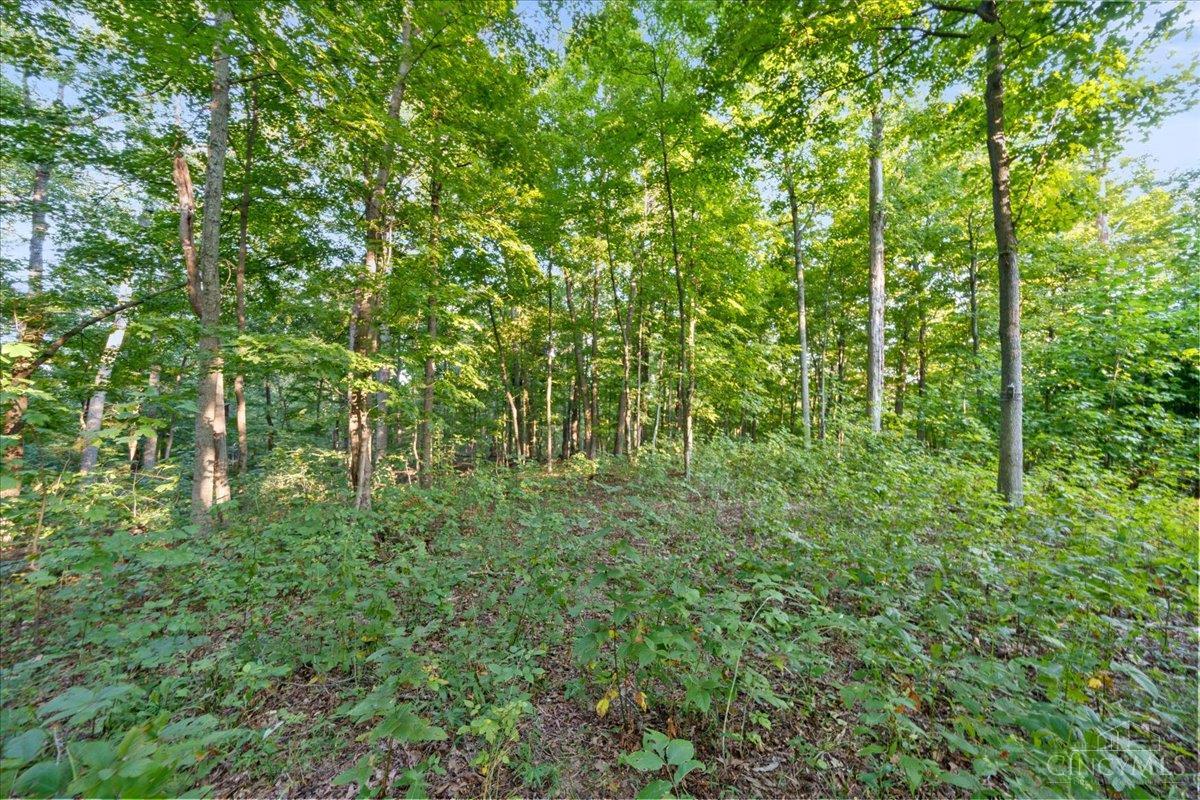 acres Waggoner Riffle Road, West Union, OH, 45693 — photo 17