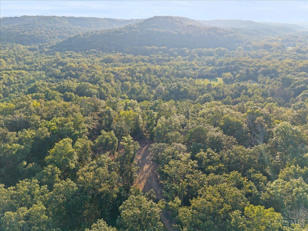 acres Waggoner Riffle Road, West Union, OH, 45693 — photo 25