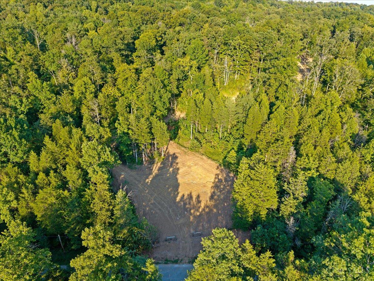 acres Waggoner Riffle Road, West Union, OH, 45693 — photo 22