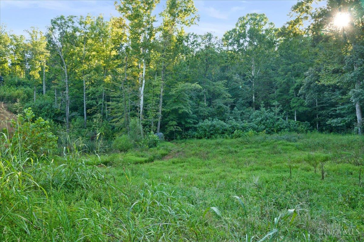 acres Waggoner Riffle Road, West Union, OH, 45693 — photo 9
