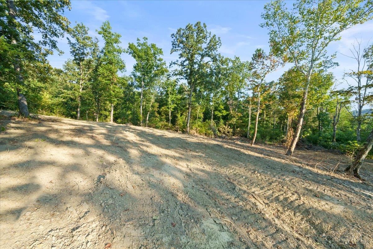 acres Waggoner Riffle Road, West Union, OH, 45693 — photo 19