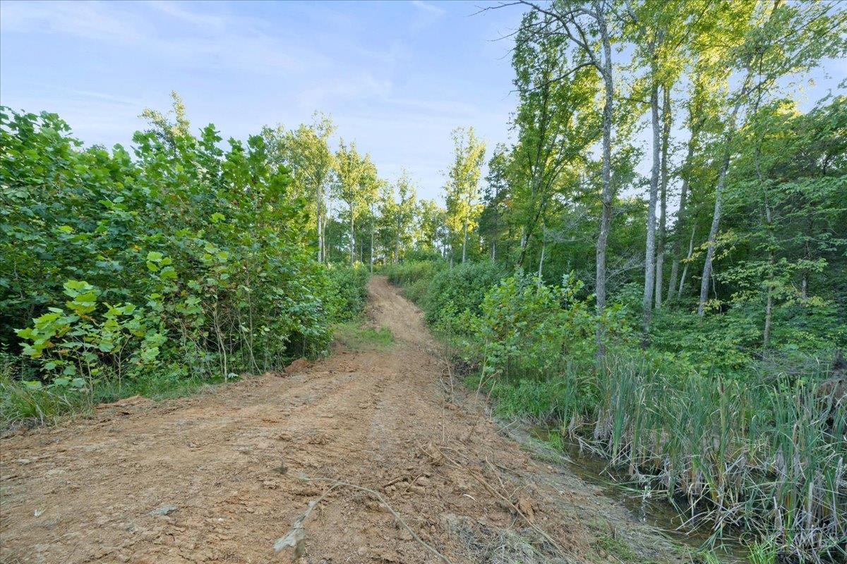 acres Waggoner Riffle Road, West Union, OH, 45693 — photo 10