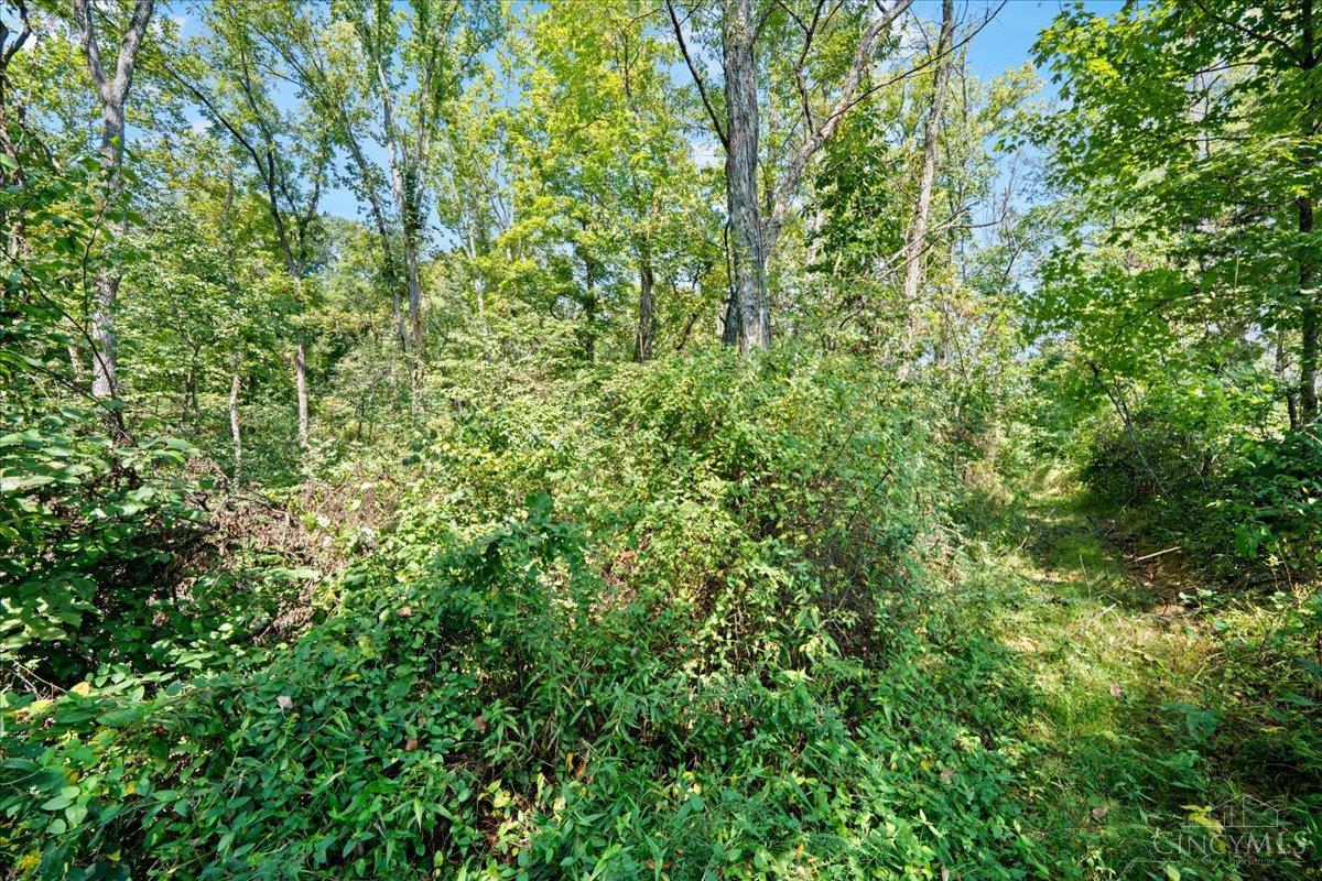 1061 Richardson Road, Concord Twp, OH, 45679 — photo 21