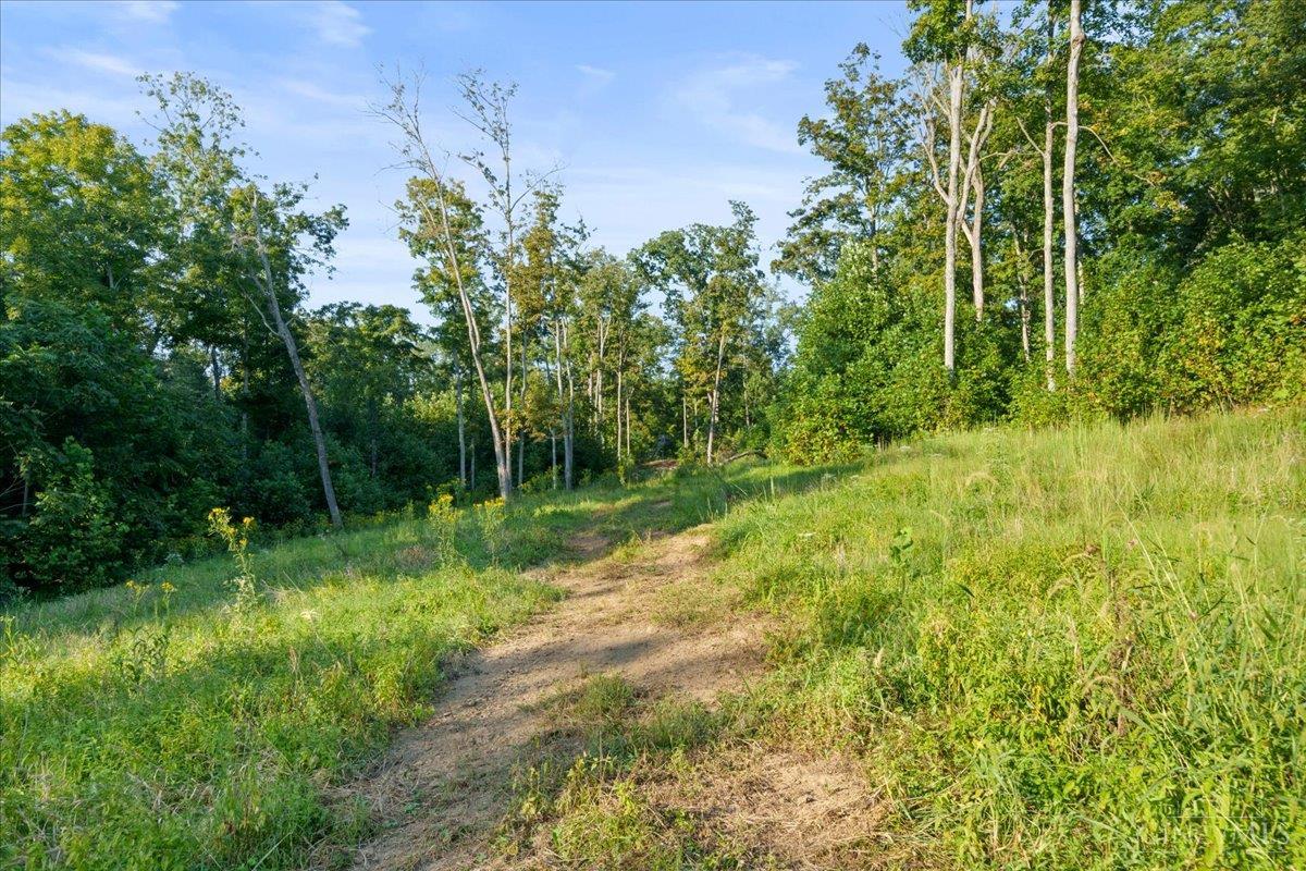 acres Waggoner Riffle Road, West Union, OH, 45693 — photo 8