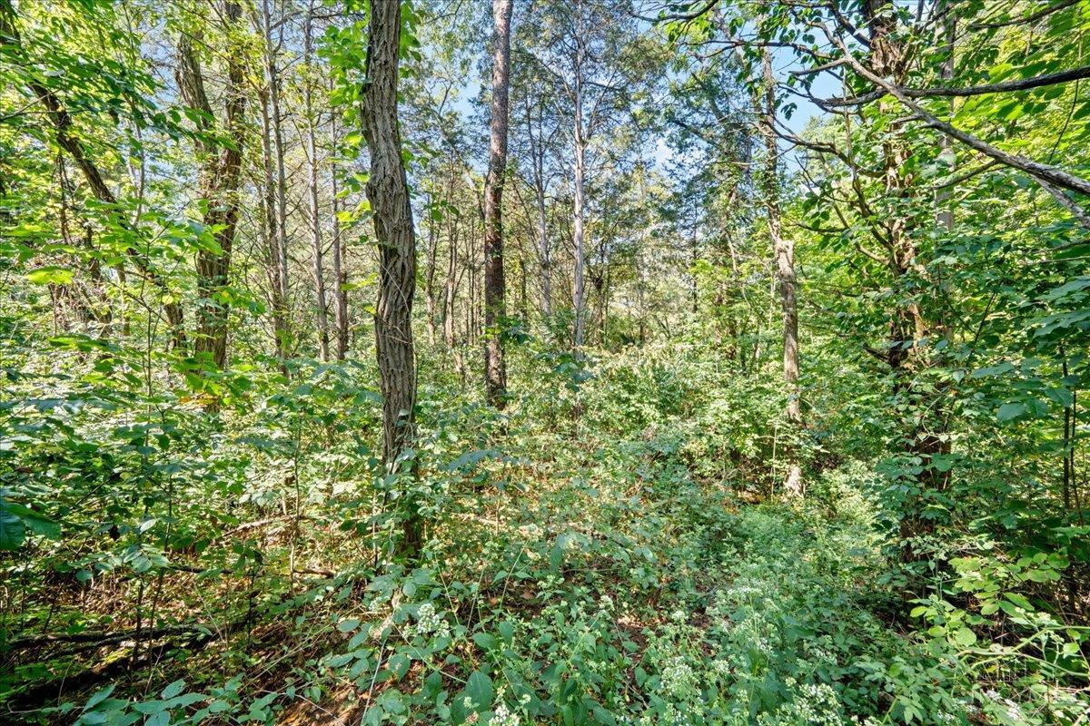 1061 Richardson Road, Concord Twp, OH, 45679 — photo 22