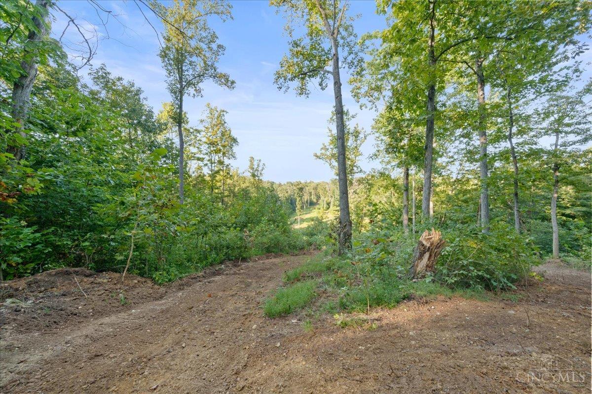 acres Waggoner Riffle Road, West Union, OH, 45693 — photo 4
