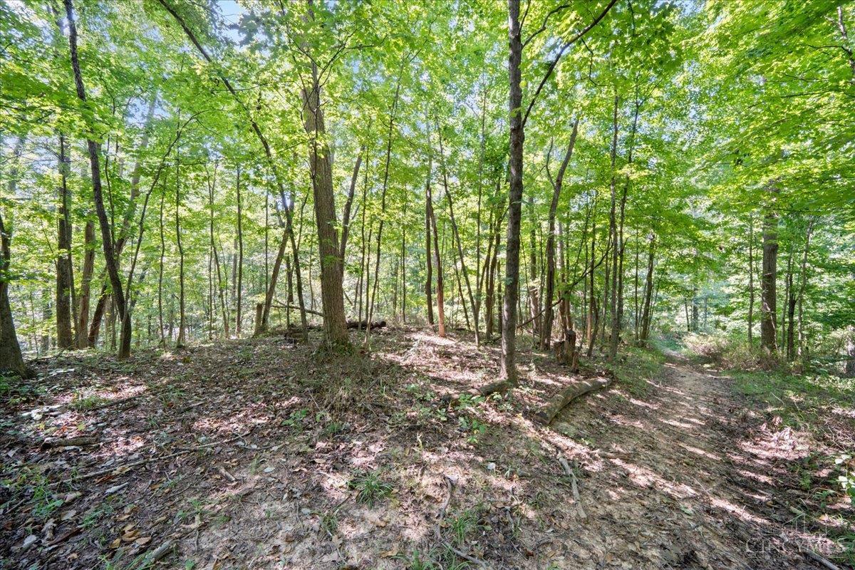 1061 Richardson Road, Concord Twp, OH, 45679 — photo 24