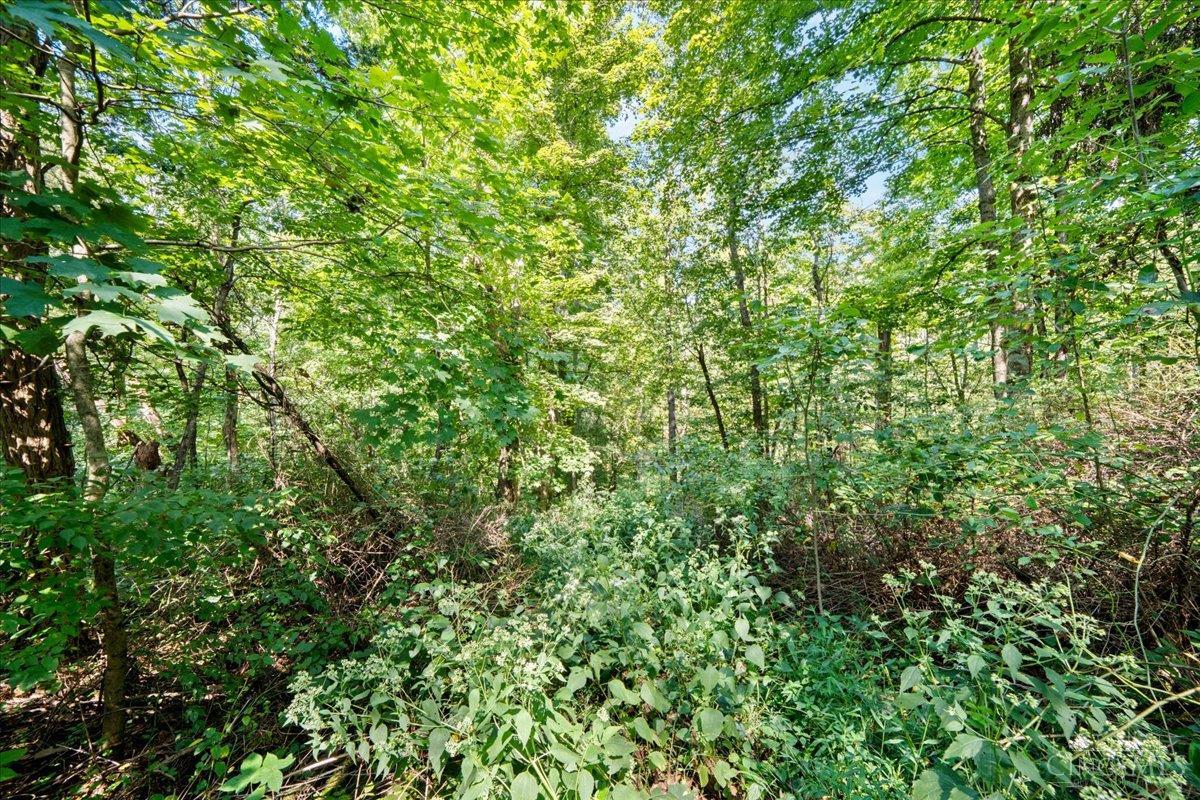 1061 Richardson Road, Concord Twp, OH, 45679 — photo 20