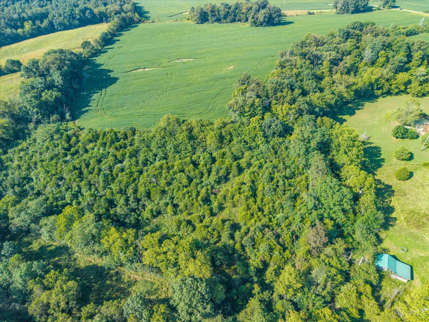 Robin Road, Seaman, OH, 45679 — photo 5