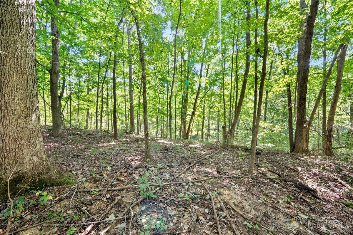 1061 Richardson Road, Concord Twp, OH, 45679 — photo 18