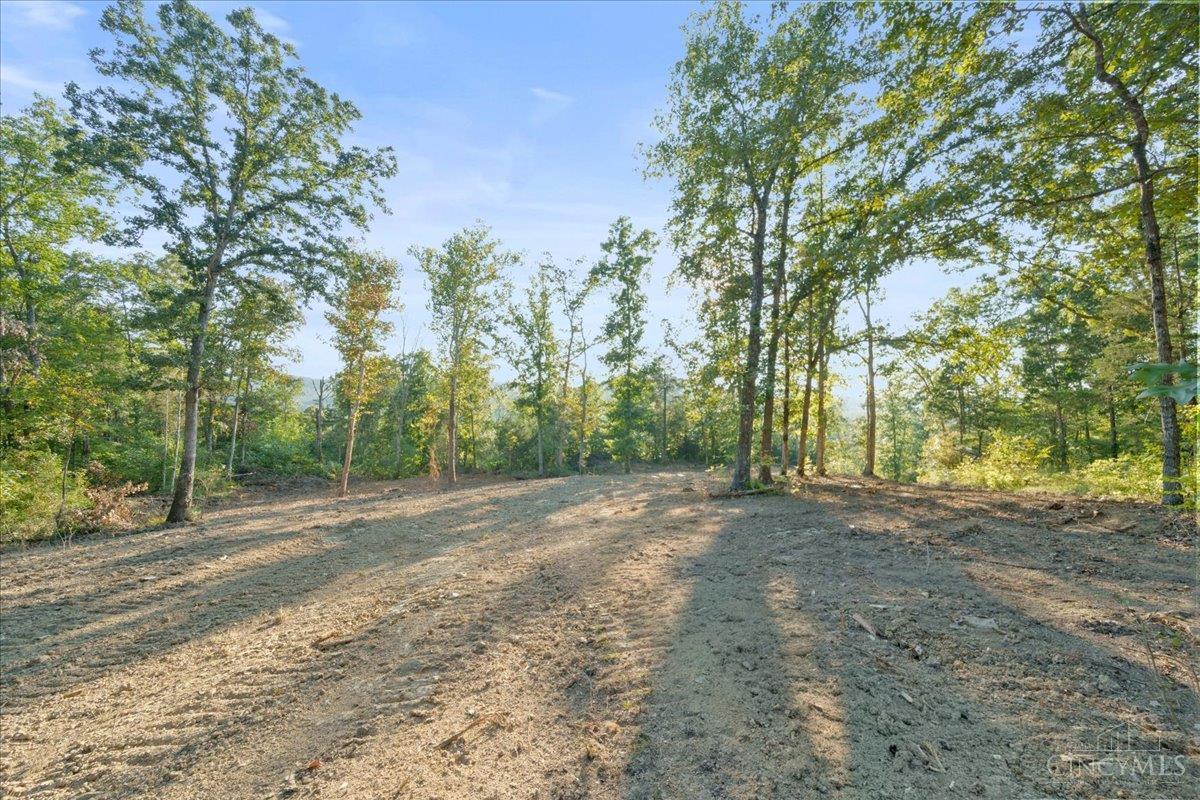 acres Waggoner Riffle Road, West Union, OH, 45693 — photo 13