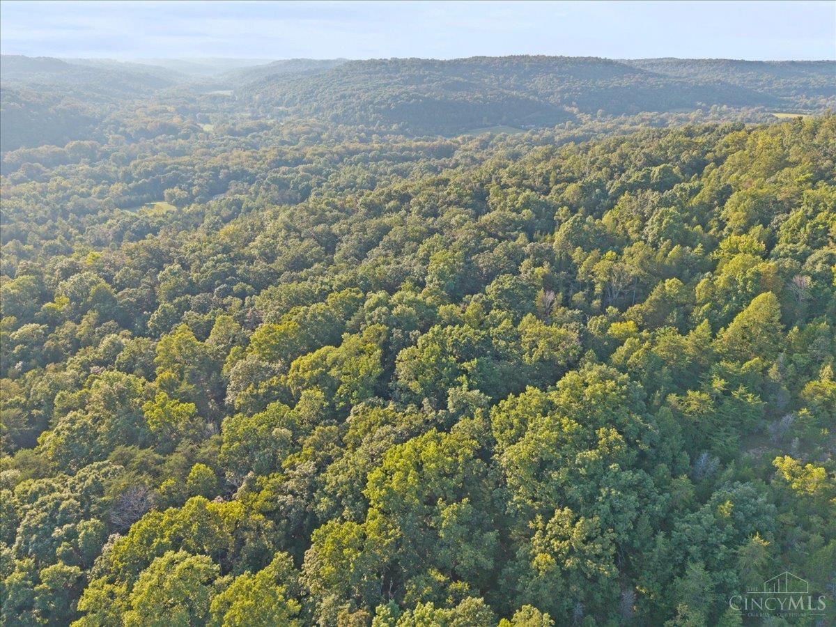 acres Waggoner Riffle Road, West Union, OH, 45693 — photo 26