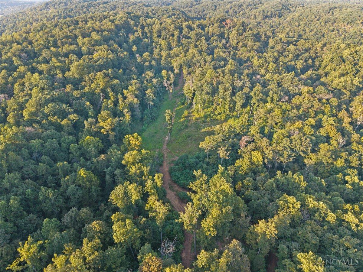 acres Waggoner Riffle Road, West Union, OH, 45693 — photo 28