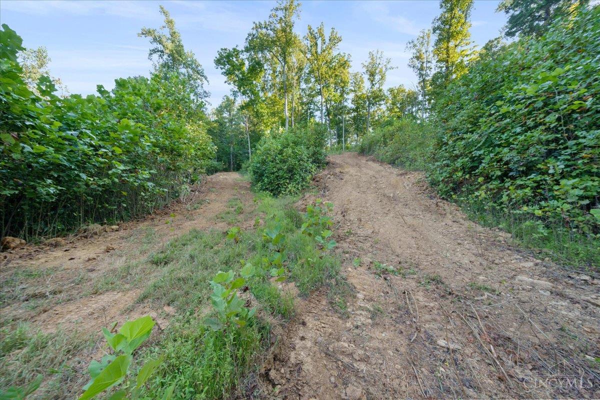 acres Waggoner Riffle Road, West Union, OH, 45693 — photo 16