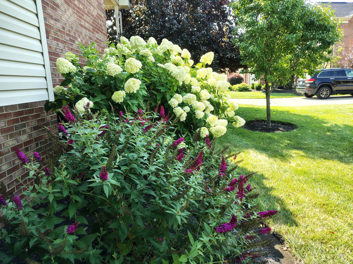 6253 Zilpha Court, Fairfield Twp, OH, 45011 — photo 26