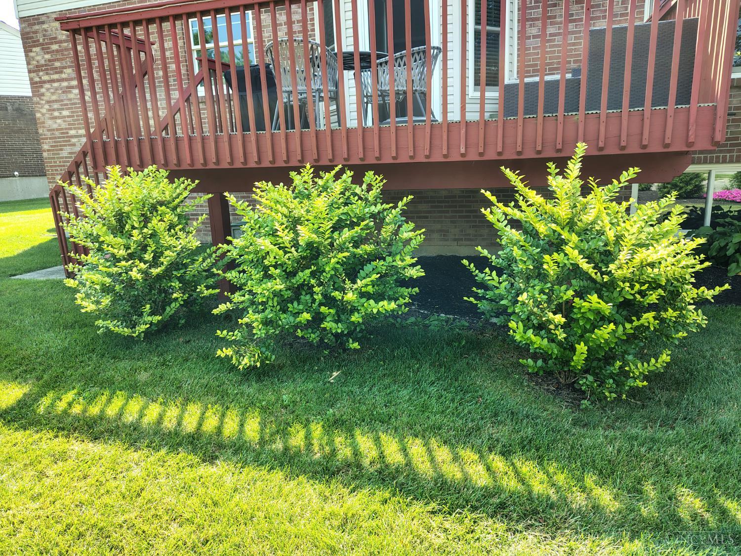 6253 Zilpha Court, Fairfield Twp, OH, 45011 — photo 25