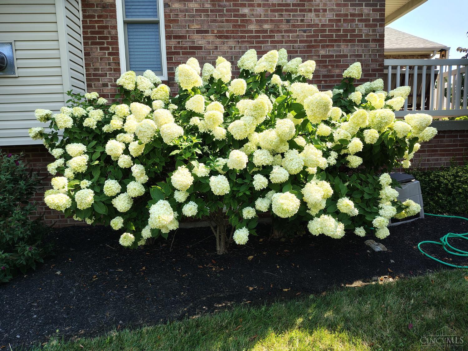 6253 Zilpha Court, Fairfield Twp, OH, 45011 — photo 27