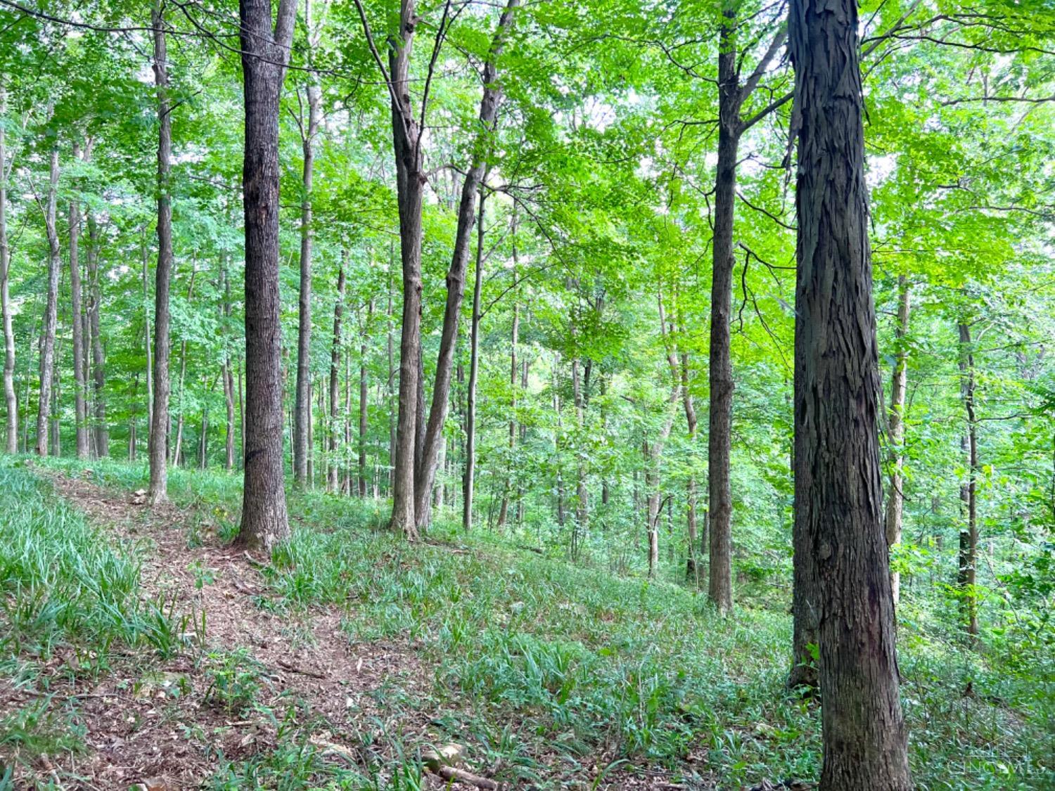 514 Dog Hollow Road, Otway, OH, 45657 — photo 27