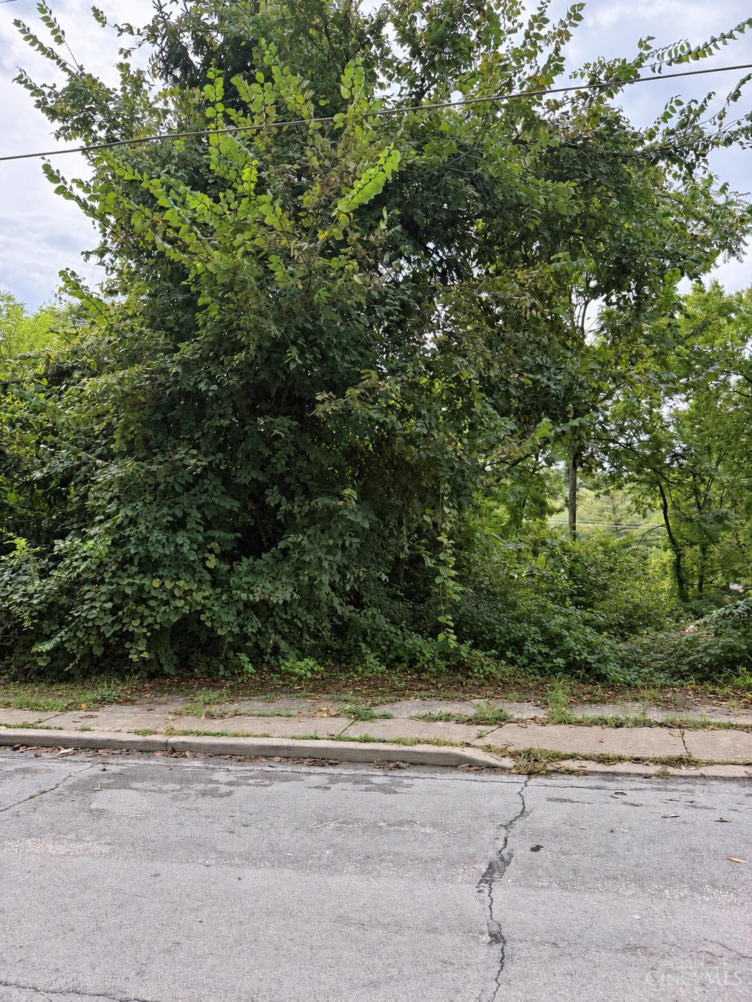1621 Tremont Street, Cincinnati, OH, 45214 — photo 3