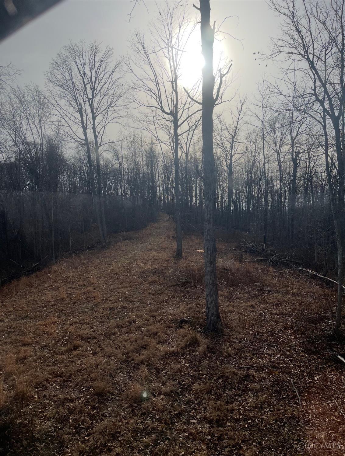 Upper Twin Creek Road, Nile Twp, OH, 45616 — photo 4