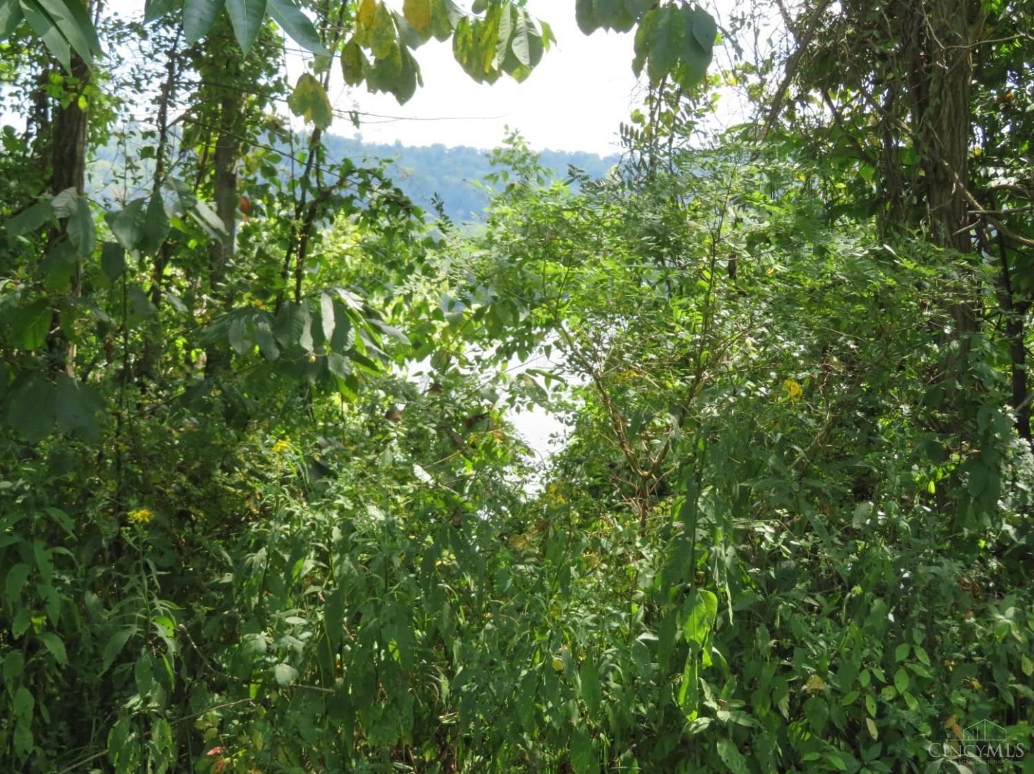 Tract 2 US Rt 52, Manchester, OH, 45144 — photo 13