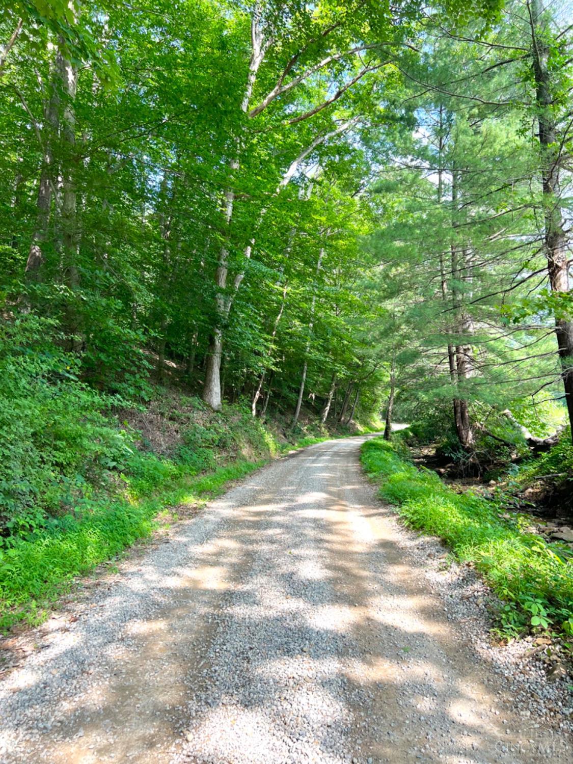 514 Dog Hollow Road, Otway, OH, 45657 — photo 80