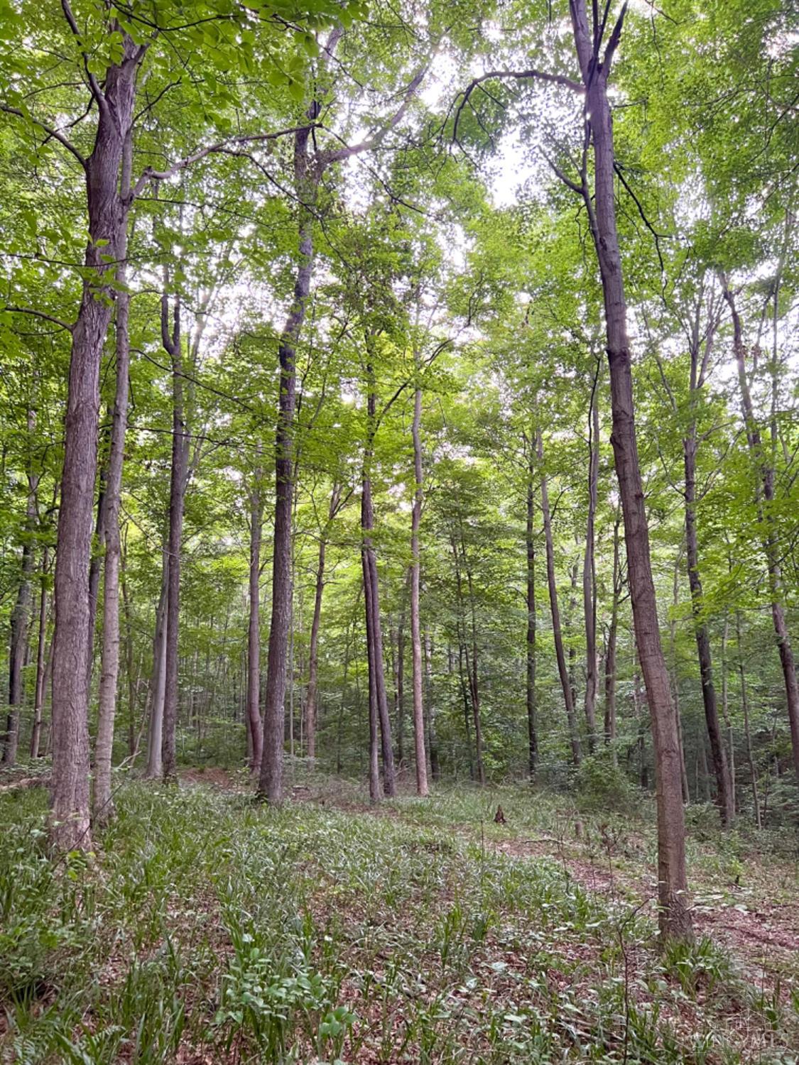 514 Dog Hollow Road, Otway, OH, 45657 — photo 76
