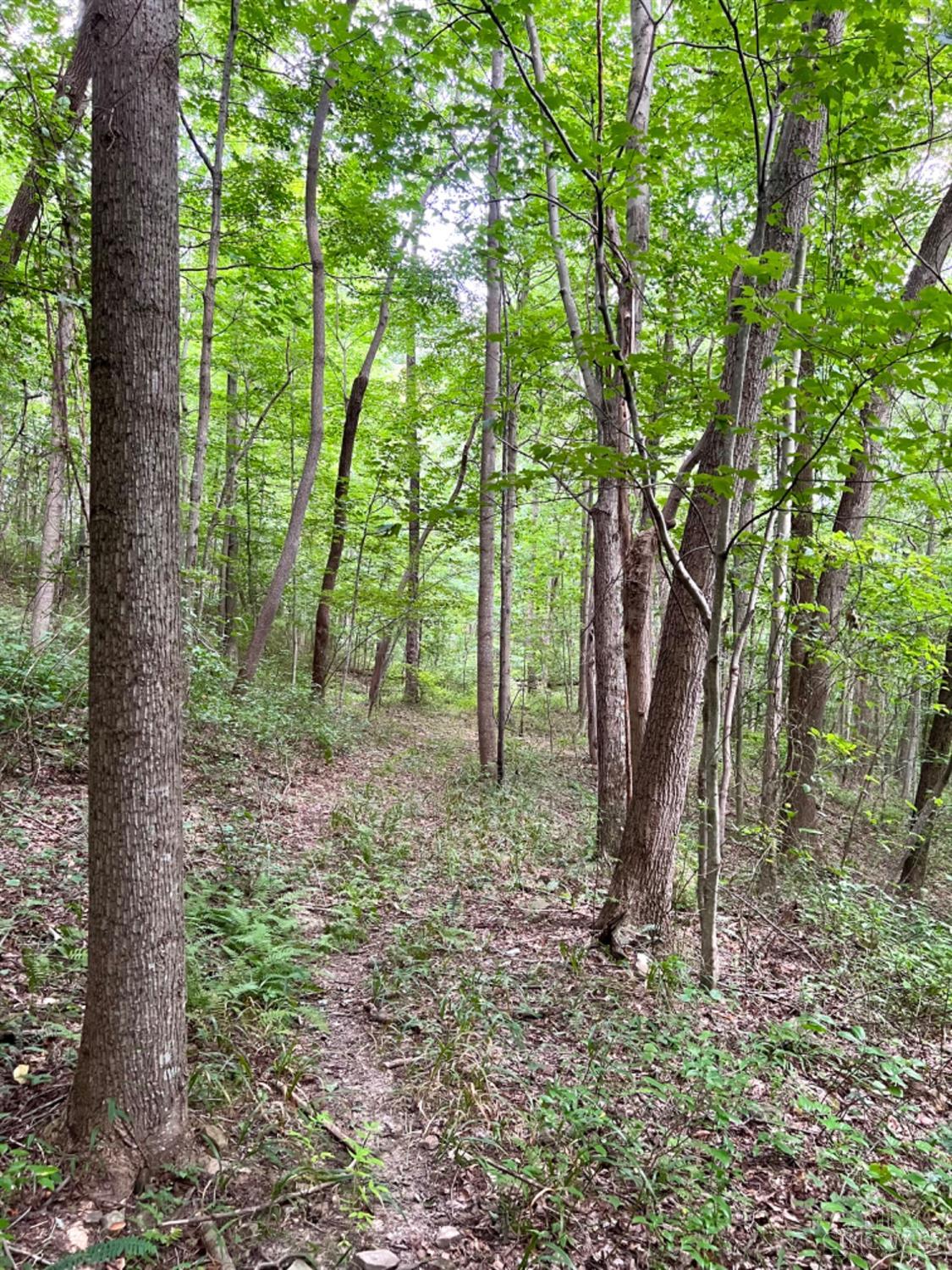 514 Dog Hollow Road, Otway, OH, 45657 — photo 77
