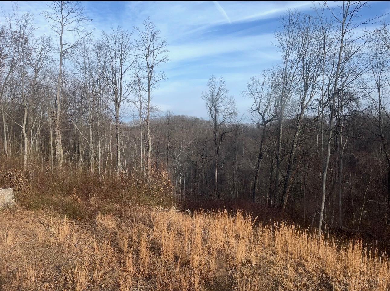 Upper Twin Creek Road, Nile Twp, OH, 45616