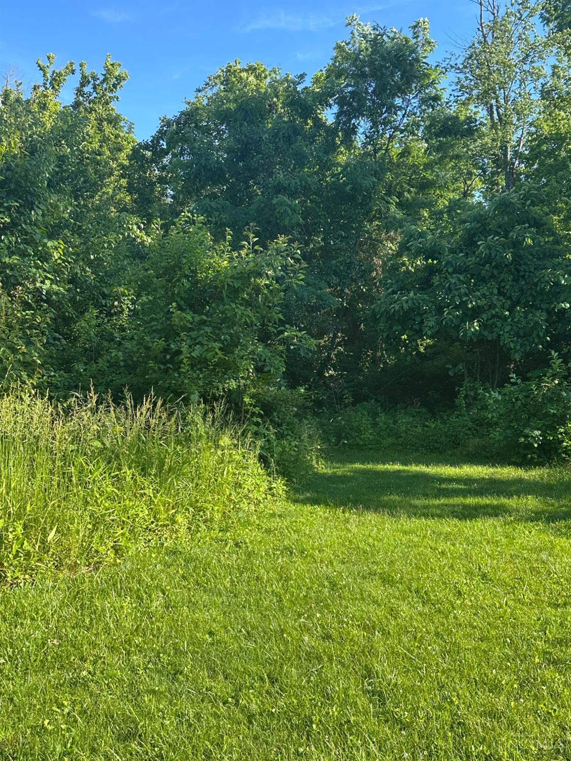 6159 Branch Hill Guinea Road, Miami Twp, OH, 45150 — photo 5