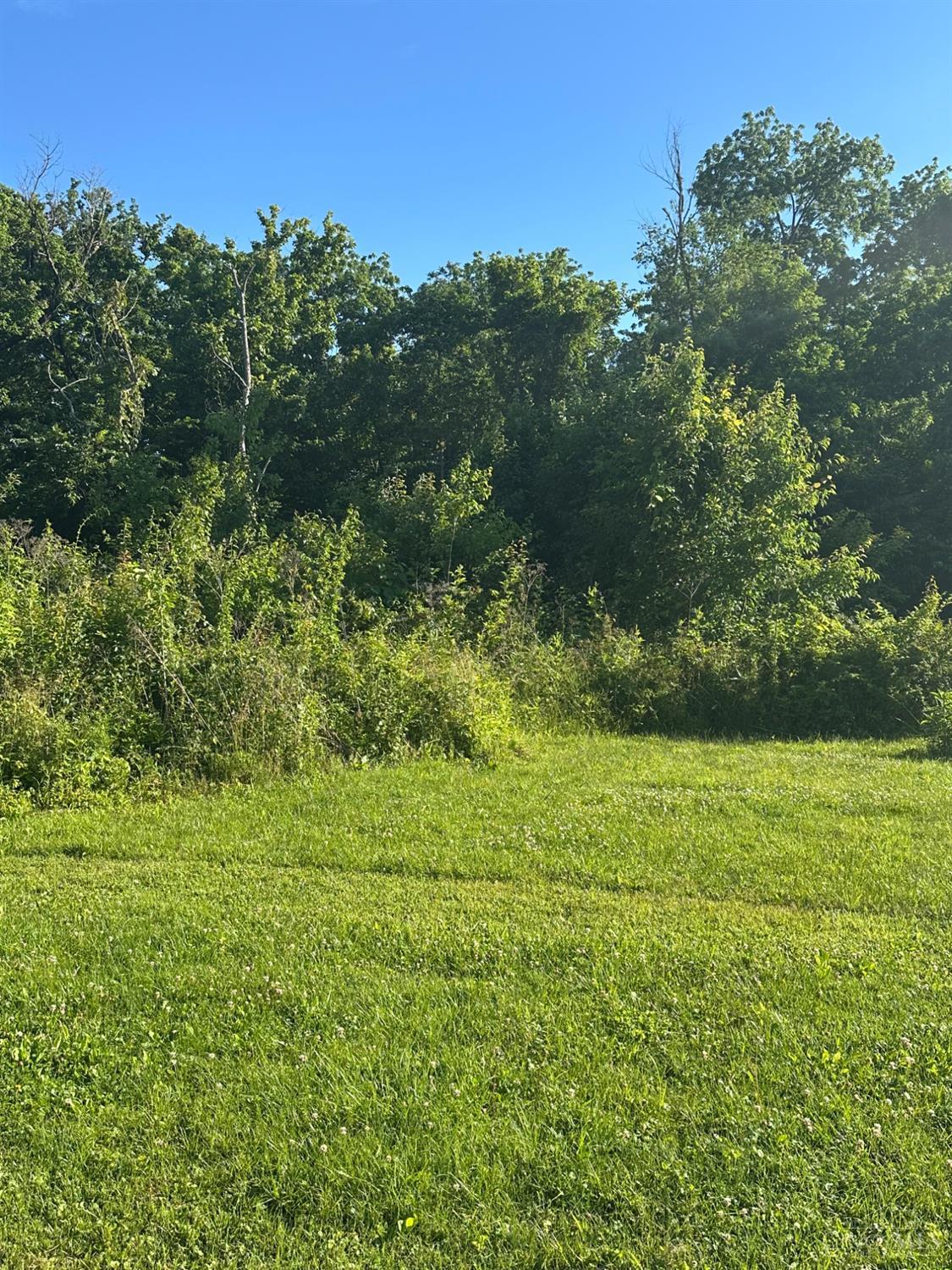6159 Branch Hill Guinea Road, Miami Twp, OH, 45150 — photo 4