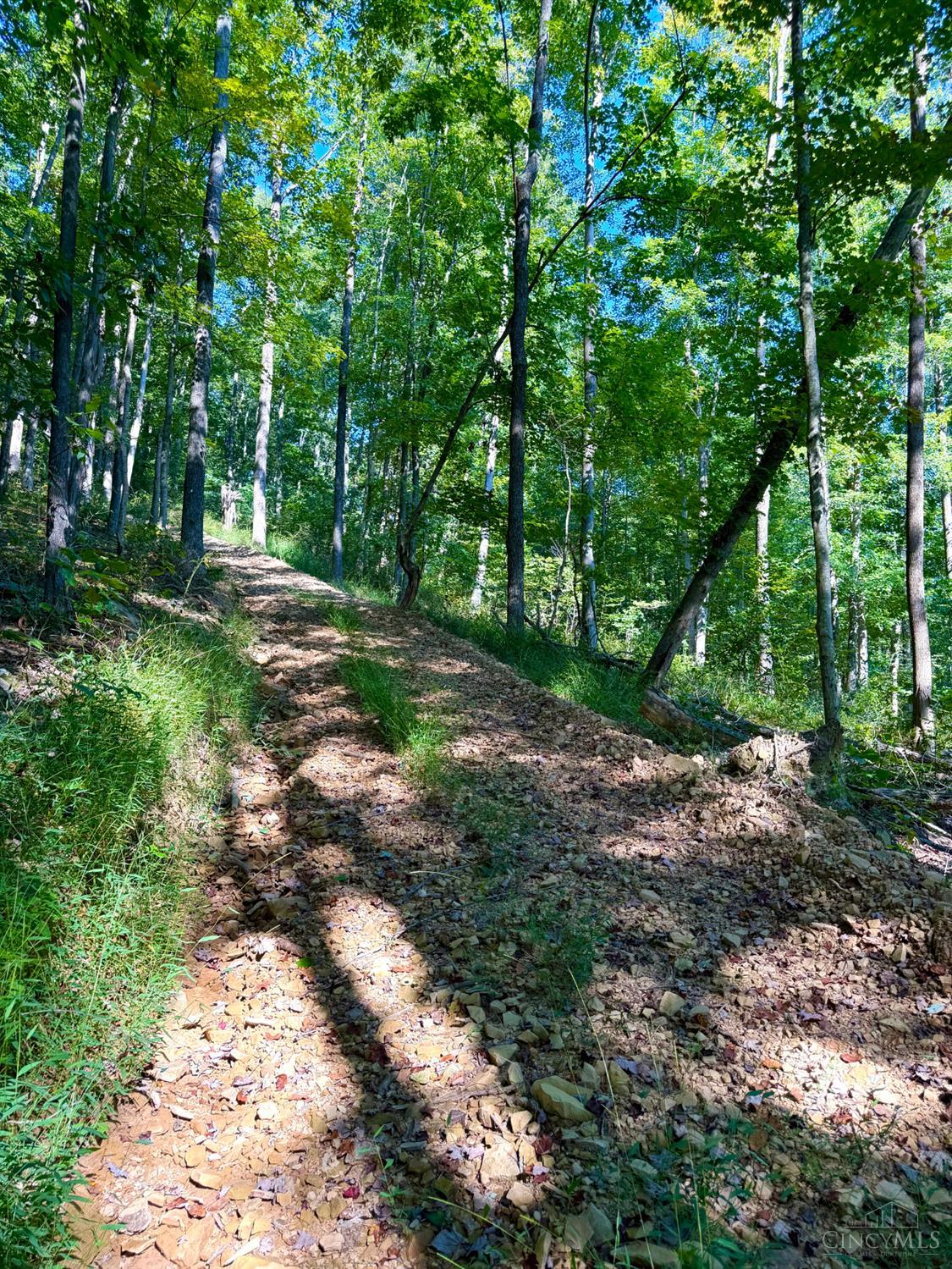 Photo 2 of Land for sale at 514 Dog Holw Rd, Otway, OH 45657 | MLS# 1893729 | Listing updated on 2026-09-13